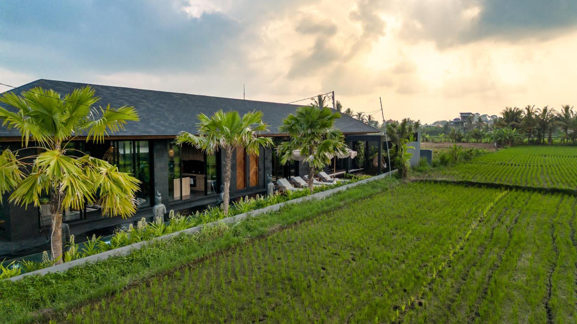 Villa Black Pearl By Balisuperhost 乌布 外观 照片